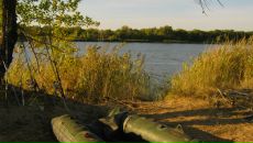 Фотография Шевченко Александра