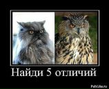 Фотография Галецкого Михаила