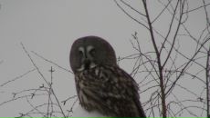 Фотография Масловской Наталии