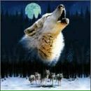 Андрій Харчук фотография #28 (источник - https://vk.com/id84531331)