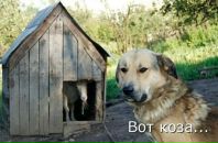 Євгений Малов фотография #45 (источник - https://vk.com/id73573181)