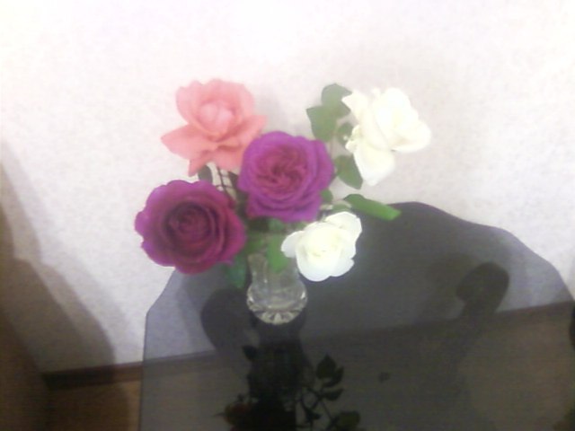 Настя Бугара фотография #17