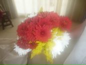 Фотография Сергеевны Алины