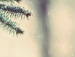 Ігор Манилюк фотография #18 (источник - https://vk.com/id88181039)