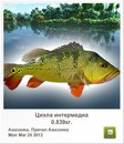 Діма Мікулеску фотография #24 (источник - https://vk.com/id148218934)