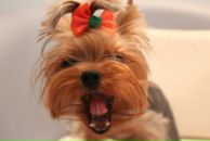 Фотография Копаевой Валерии