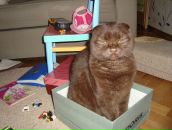 Фотография Ющагиной Ларисы