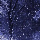 Жанна Щічко фотография #32 (источник - https://vk.com/id133268671)