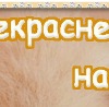 Крістін Стьюарт фотография #12 (источник - https://vk.com/id152466411)