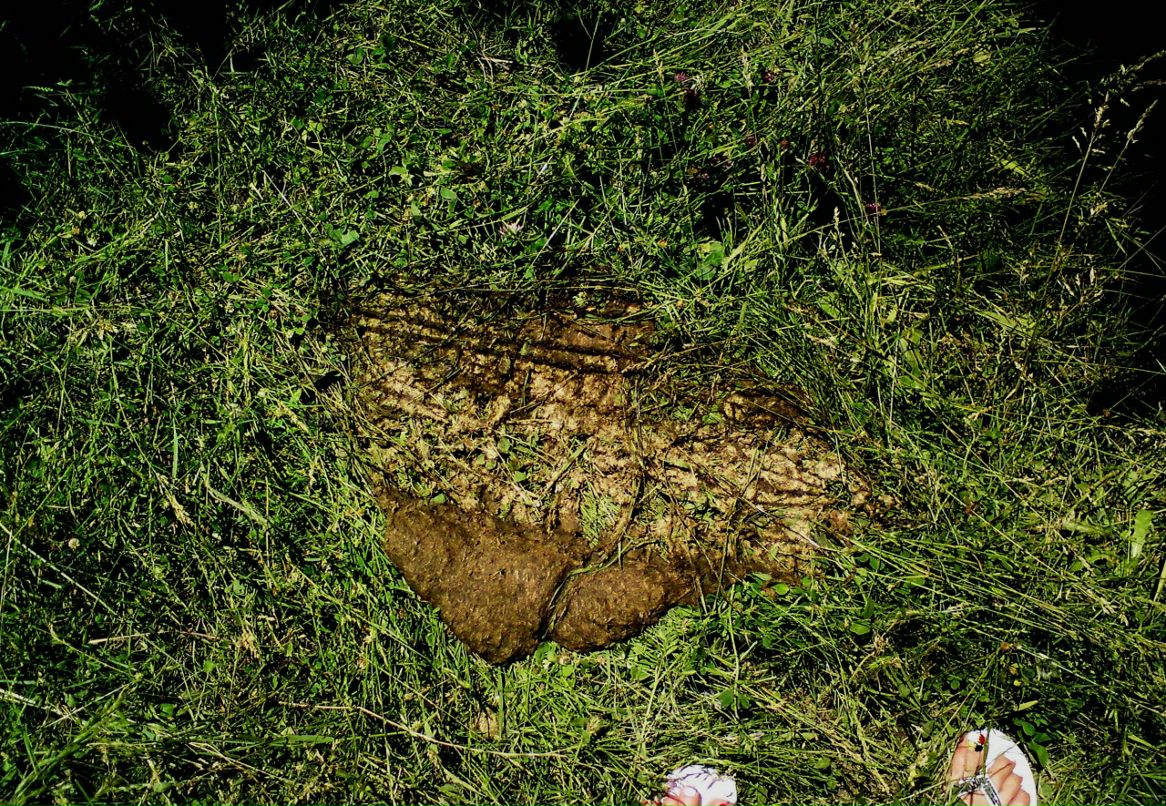 Alla Tedeeva фотография #41