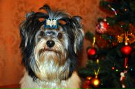 Фотография Игнатовой Ольги