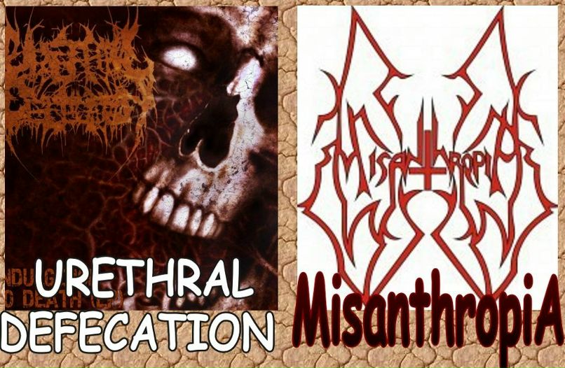 Defect Brain фотография #9