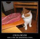 Діна Никифорова фотография #40 (источник - https://vk.com/id69910692)