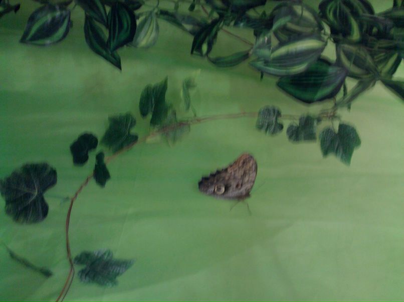 Катя Клименко фотография #35