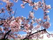 Анна Демченко фотография #23 (источник - https://vk.com/id1819733)