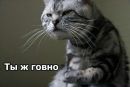 Фотография Шапаревой Алёны