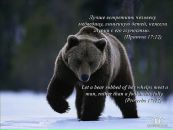 Фотография Товмасяна Товмаса