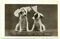 Фотография Жиромской Анны