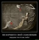 Фотография Сухиной Елены