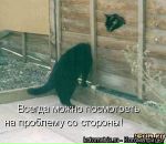 Оля Білик-Дворянська фотография #38 (источник - https://vk.com/id94354537)