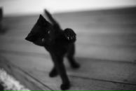 Фотография Гекаты Анастасии