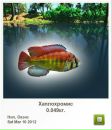 Сергій Ваксютенко фотография #8 (источник - https://vk.com/id133291802)