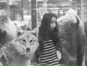 Светлана Крылова фотография #9 (источник - https://vk.com/id42390)