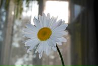 Юрій Дацько фотография #33 (источник - https://vk.com/id9641386)