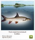 Людмила Бабікова фотография #39 (источник - https://vk.com/id155289329)