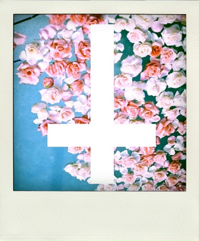 Дмитрий Илларионов фотография #30