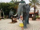 Фотография Шабан Светланы