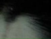 Андрій Бабій фотография #17 (источник - https://vk.com/id50455361)