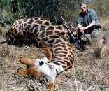 Фотография Хисматуллина Камиля