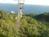 Дмитрий Брагин фотография #35 (источник - https://vk.com/id16422932)