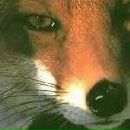 Фотография Вертопраховой Яны