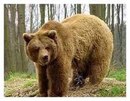 Софійка Микитюк фотография #9 (источник - https://vk.com/id148055597)
