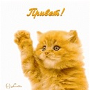 Іванна Шемелинець фотография #30 (источник - https://vk.com/id150490806)