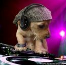 Ігор Солоненко фотография #30 (источник - https://vk.com/id70713472)