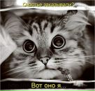 Фотография Антоновой Юлии