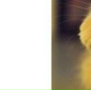 Надя Зелінська фотография #33 (источник - https://vk.com/id36643004)