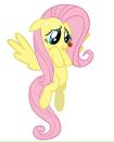 Flutter Shy фотография #16 (источник - https://vk.com/id161207668)