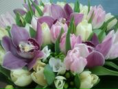 Фотография Щетининой Елены