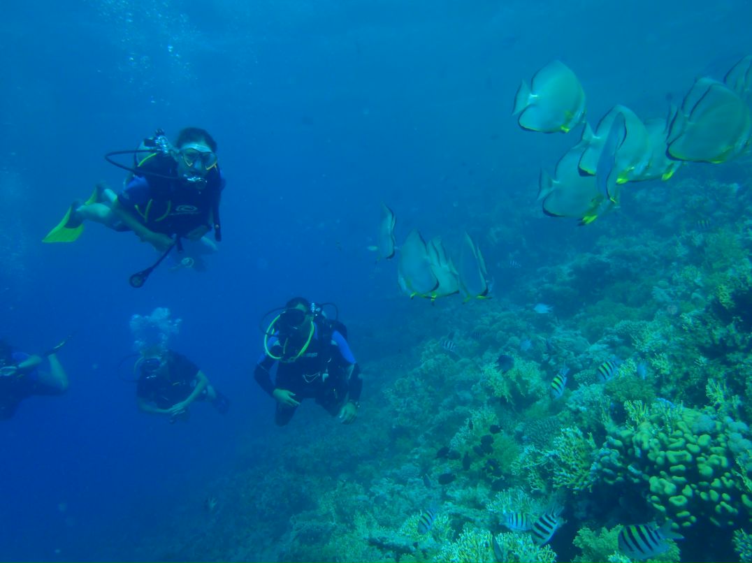 Vit Mi фотография #50