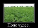 Фотография Артём Федорович