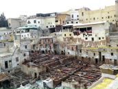 Дмитрий Фёдоров фотография #8 (источник - https://vk.com/id28347)