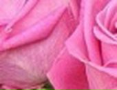 Юлія Карабчук фотография #48 (источник - https://vk.com/id75888420)