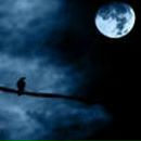 Лунные Коридоры фотография #12 (источник - https://vk.com/id134881129)