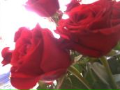 Andriana Dubenko фотография #14 (источник - https://vk.com/id19108510)