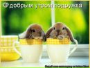 Маріна Джаман фотография #45 (источник - https://vk.com/id154473606)