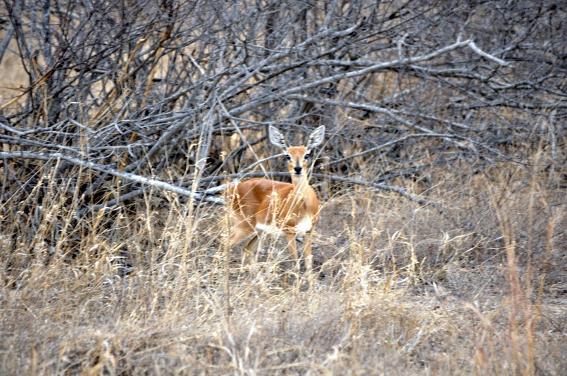 Иван Руденко фотография #37